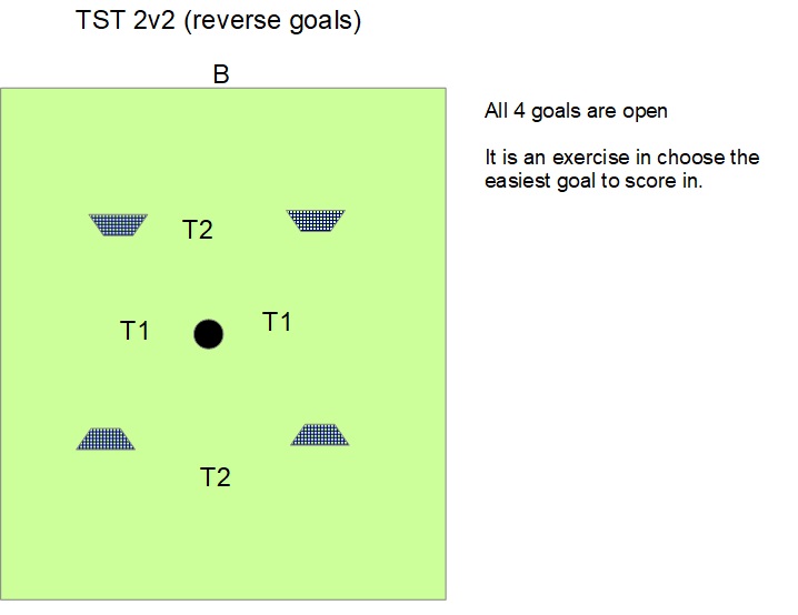 TST 2v2 (reverse goals).jpg